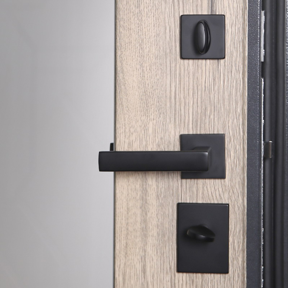 Стальная дверь  "Беркут" с зеркалом