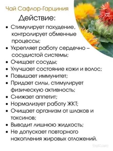 Сафлоровый чай с гарцинией 10саше