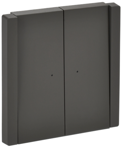 FORTE&PIANO Выключатель 2-клавишный с индикацией 10А FP306 серый IEK