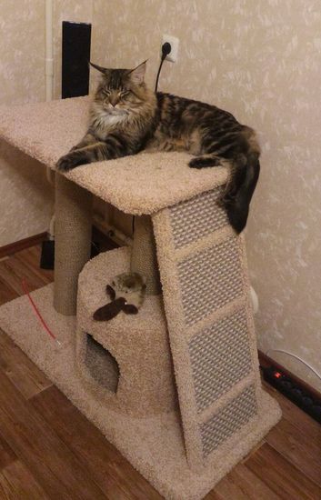 Дом для кошки К-25