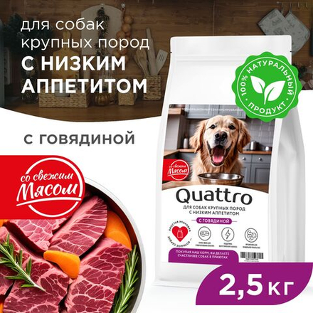 Корм сухой для взрослых собак крупных пород, премиум полнорационный комплекс, для собак с низким аппетитом, с говядиной, 2,5 кг, QUATTRO