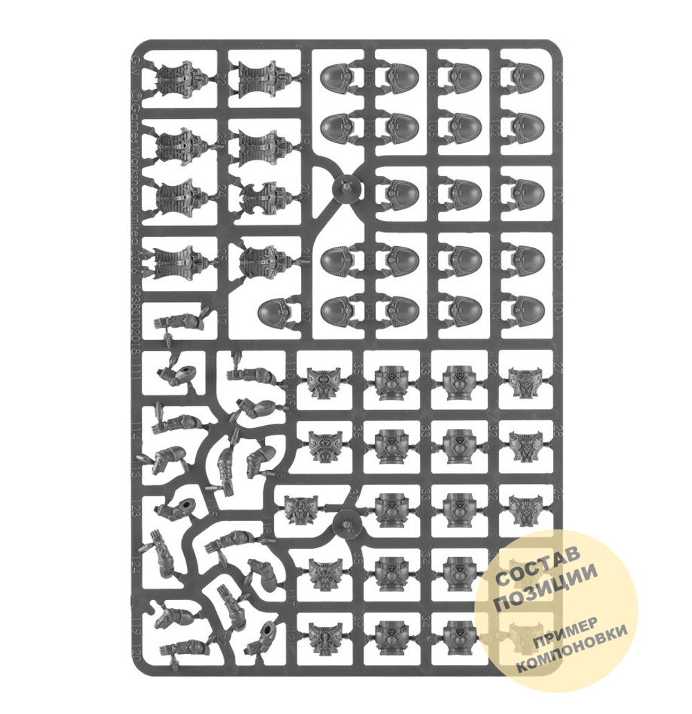 Kill Team: Warp Coven Base Pack