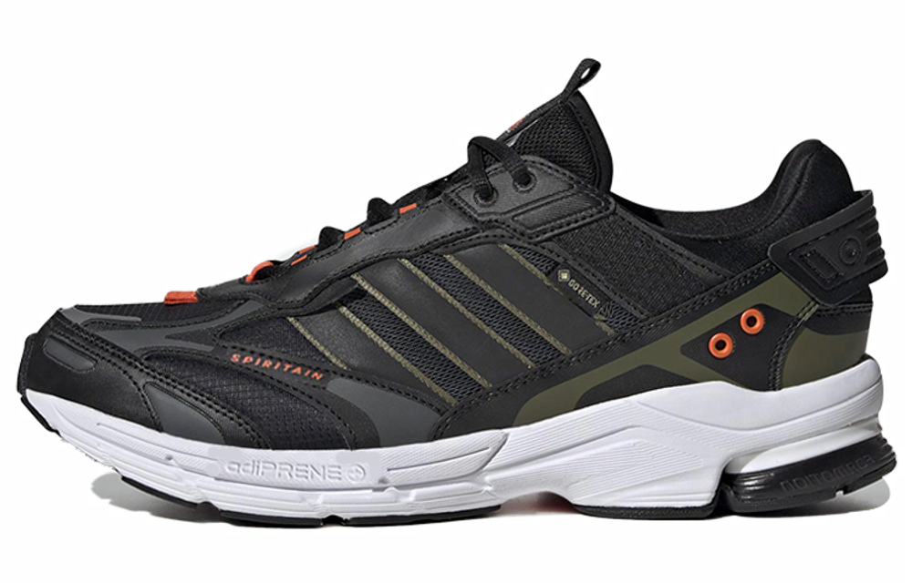 Кроссовки Adidas Spiritain 2000 Gtx