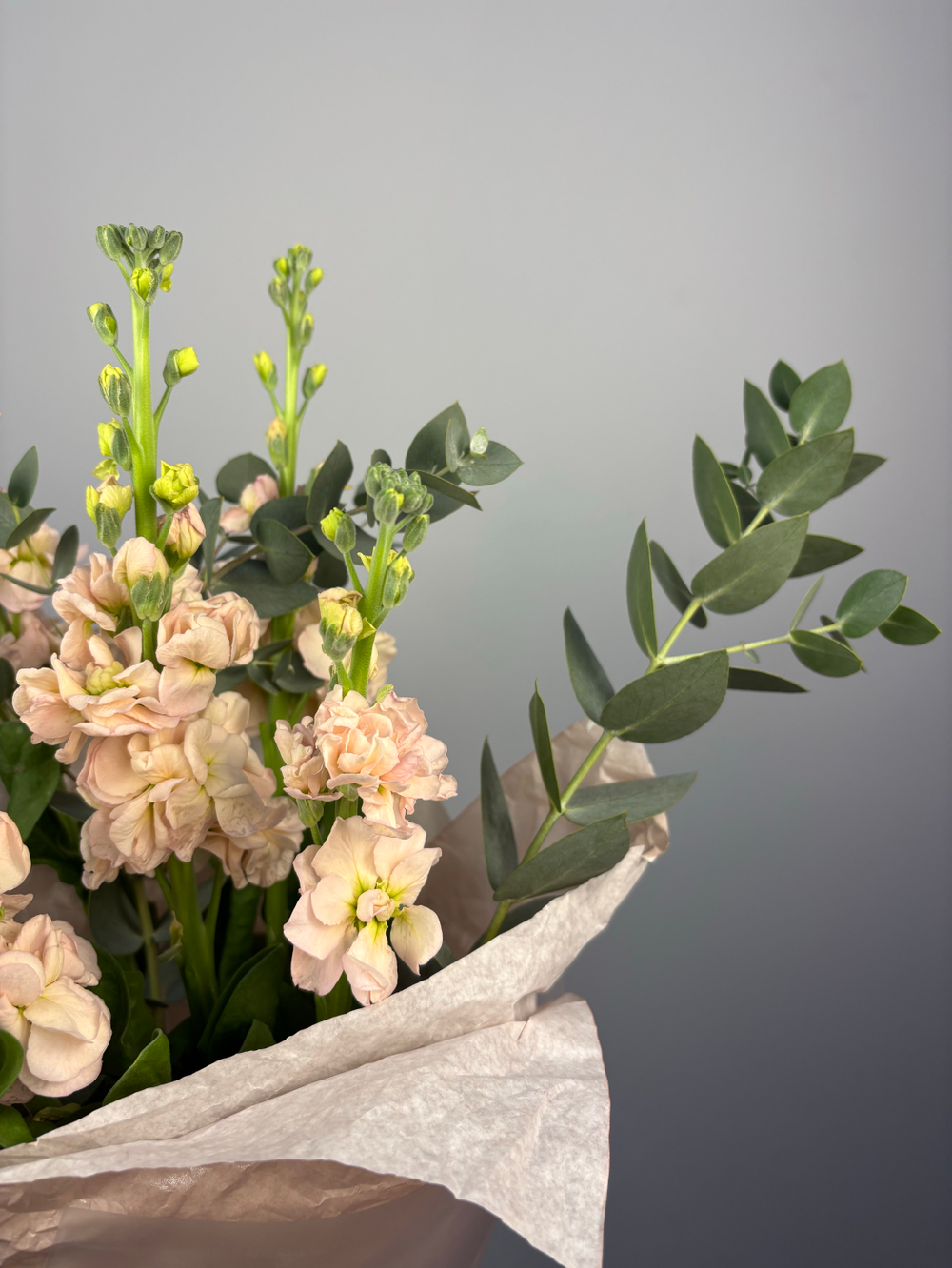 Букет из Маттиолы