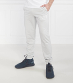 спортивные штаны EA7 - серый(3RPP73 PJ05Z)