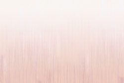 Коллекция Pastel