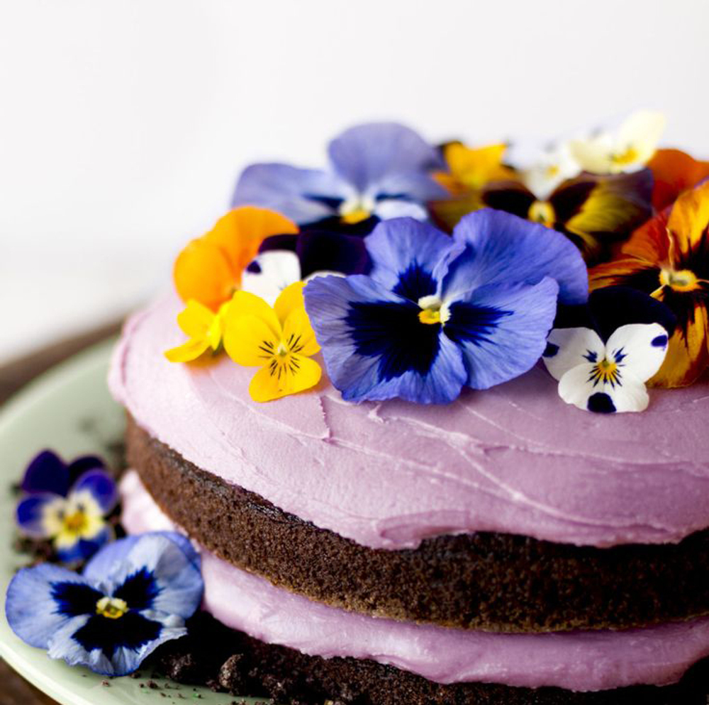 Виола обезвоженная Northern butterfly - Северная бабочка плоская (5 шт/уп)