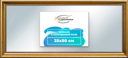 Зеркало настенное в раме 25x50