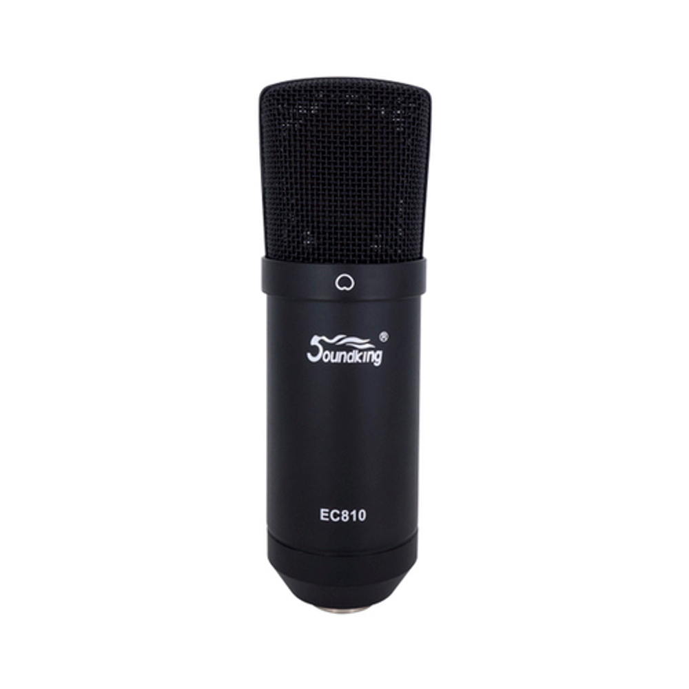 Студийный микрофон Soundking EC810