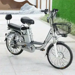 Электровелосипед Green Camel Транк 20 V8 PRO 40км