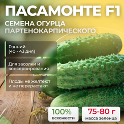 ПАСАМОНТЕ F1 семена огурца (Syngenta | Alexagro)