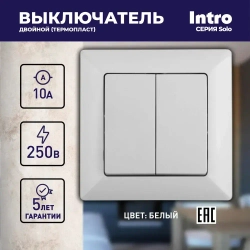 Выключатель Intro Solo 4-104-01 двухклавишный 10А-250В IP20 СУ белый