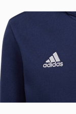 Кофта adidas Entrada 22 Hoodie Junior