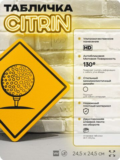 Табличка декоративная "Мяч для гольфа" на дверь и стену, спортивная, информационная, декоративный знак, 24,5х24,5 см, пластиковая, Айдентика Технолоджи