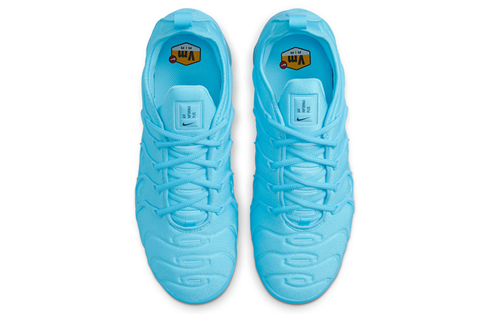 Кроссовки Nike Vapormax Plus University Blue