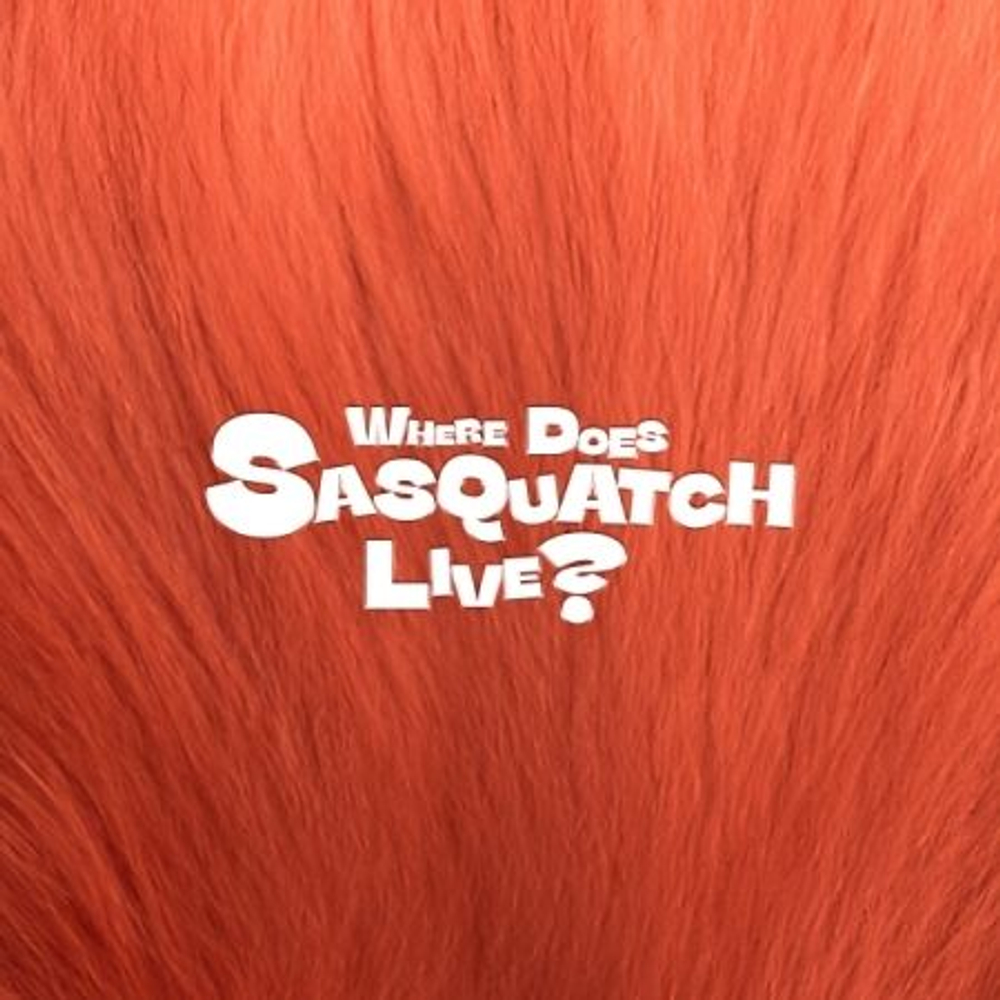 Альбом ZIOR PARK - WHERE DOES SASQUATCH LIVE?