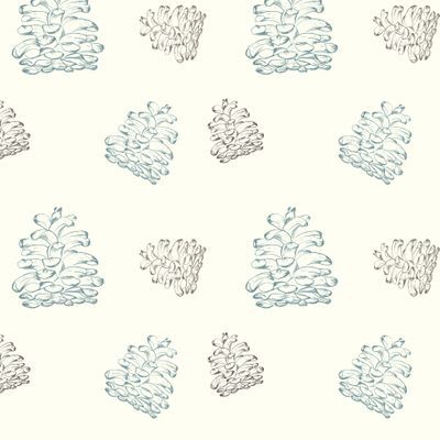 Сосновые шишки