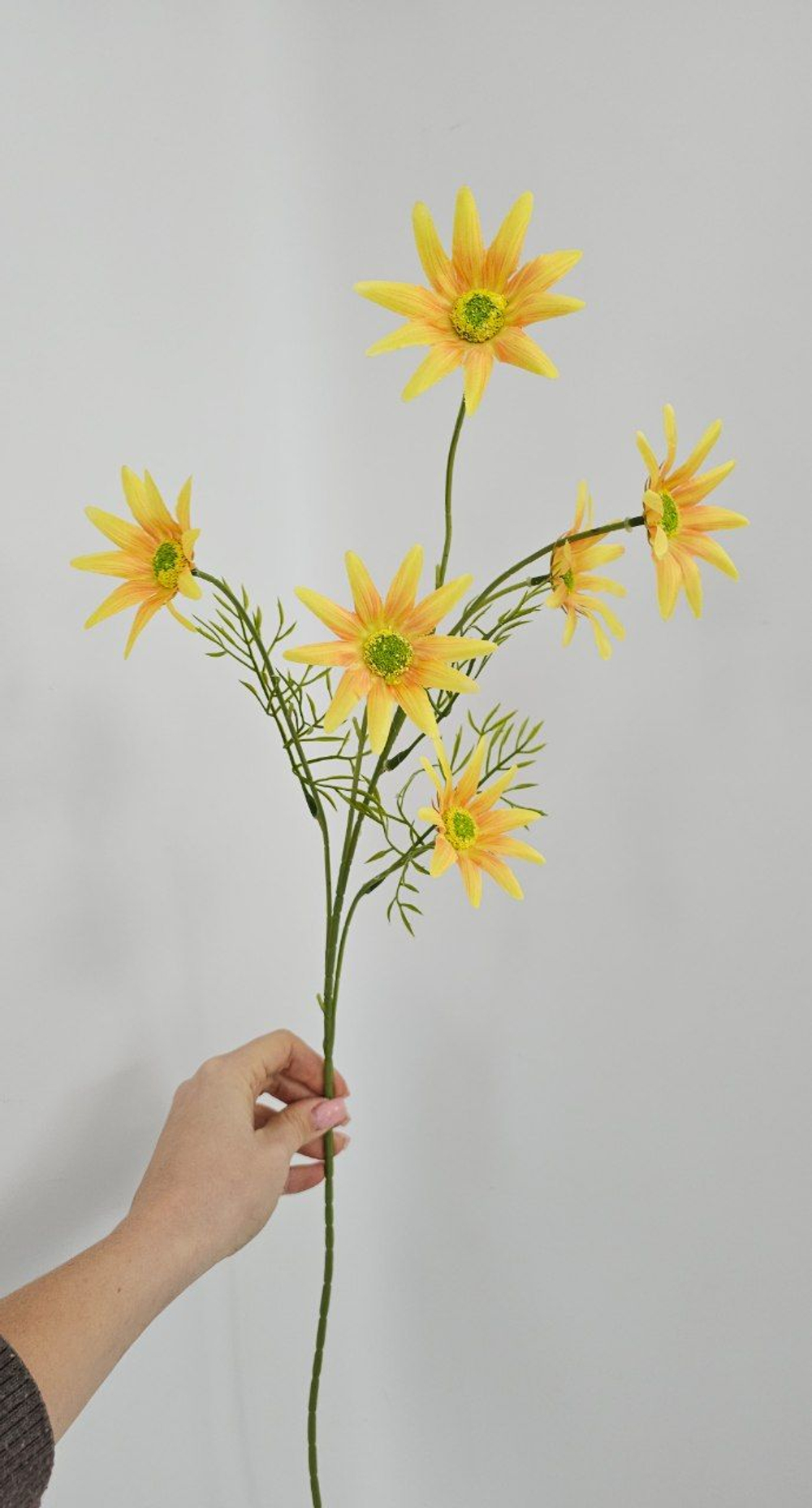 Хризантема / Арт 2434