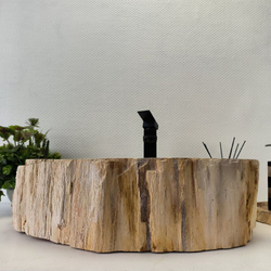 Раковина из окаменелого дерева Fossil Basin OD-02348 56*40*16 см