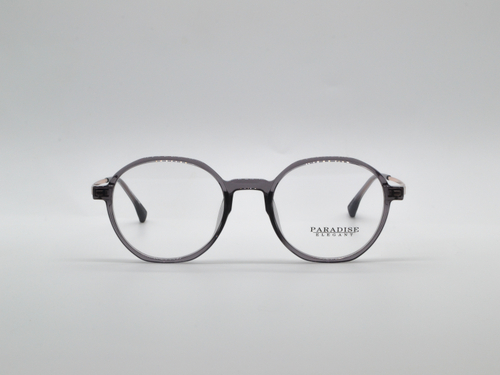 Изг. оправы PARADISE 48086 C58