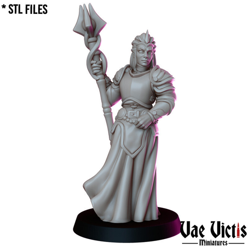 Человек Клерик Жрец Рыцарь Паладин миниатюра для dnd, днд, pathfinder, фентези, Настольная игра, НРИ, Варгейм, РПГ