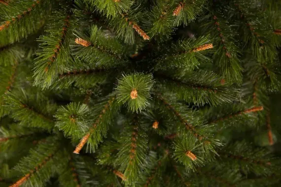 Елка Сказочная 185 см., леска+пвх, Triumph Tree (73535)