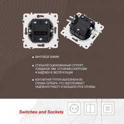 Выключатель двухклавишный без рамки Arte Milano 205 205.30-2.silver