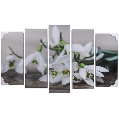 Картина модульная, 125х80 см, 5мод, V-166