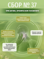 Сбор № 37 при ангине, хроническом тонзиллите