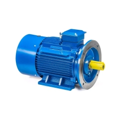 Электродвигатель 5АИ 200 L6 30/1000 IM2001