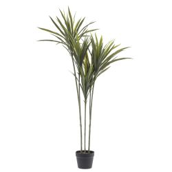 GAEM Цветочная композиция "Драцена", L75 W60 H133 см