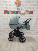 Коляска модульная Adamex Nola N-PS122