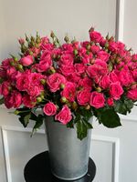 Пионовидная кустовая роза в ярко розовом оттенке