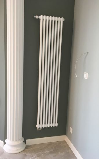 Радиатор Arbonia 2180 - 10 секций боковое подключение №12, 3/4", RAL 9016 (белый)