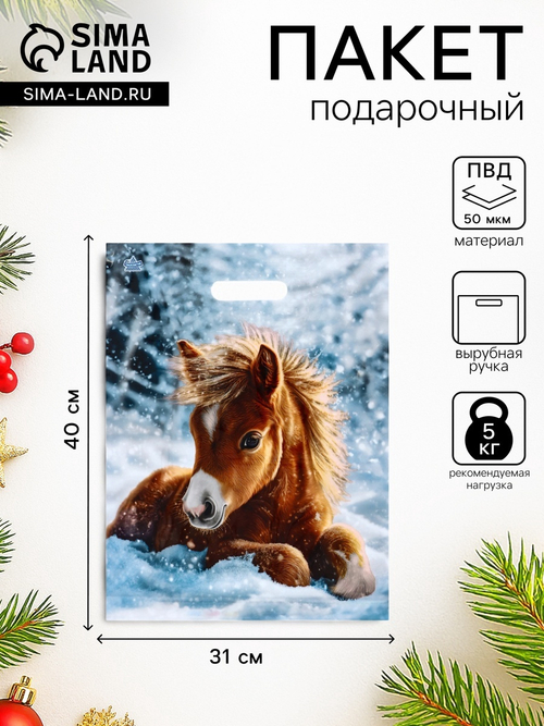 Пакет "Ветерок", полиэтиленовый с вырубной ручкой,л 40 х 31 см, 60 мкм 10895616