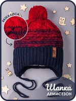 Шапка для мальчика осенняя на завязках