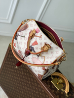 Louis Vuitton Speedy Soft 30