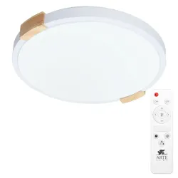 Потолочный светильник Arte Lamp