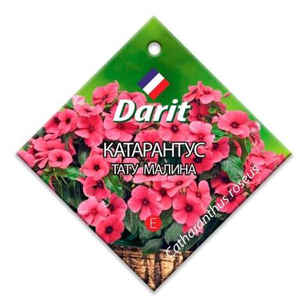 Катарантус Тату Малина, семена Дарит 7шт (500)