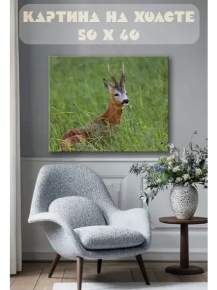 Картина на стену 40 X 50 Косуля