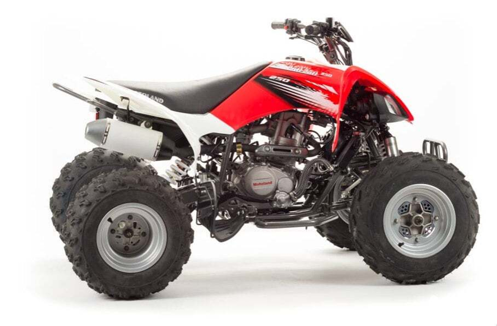 Квадроцикл MOTOLAND 125S (2020 Г.)