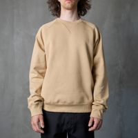  Толстовка мужская Carhartt WIP Chase Sweatshirt артикул:I033660_sable - купить в магазине Дайс