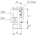 Штуцер FNE DS20 BSP 1