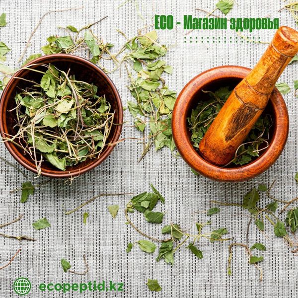 Концентрат «Боровая матка и Красная щётка + Цинк» — природный союз для женского здоровья и гормональной гармонии