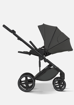 Anex Детская коляска Mev 2 в 1 Ditto