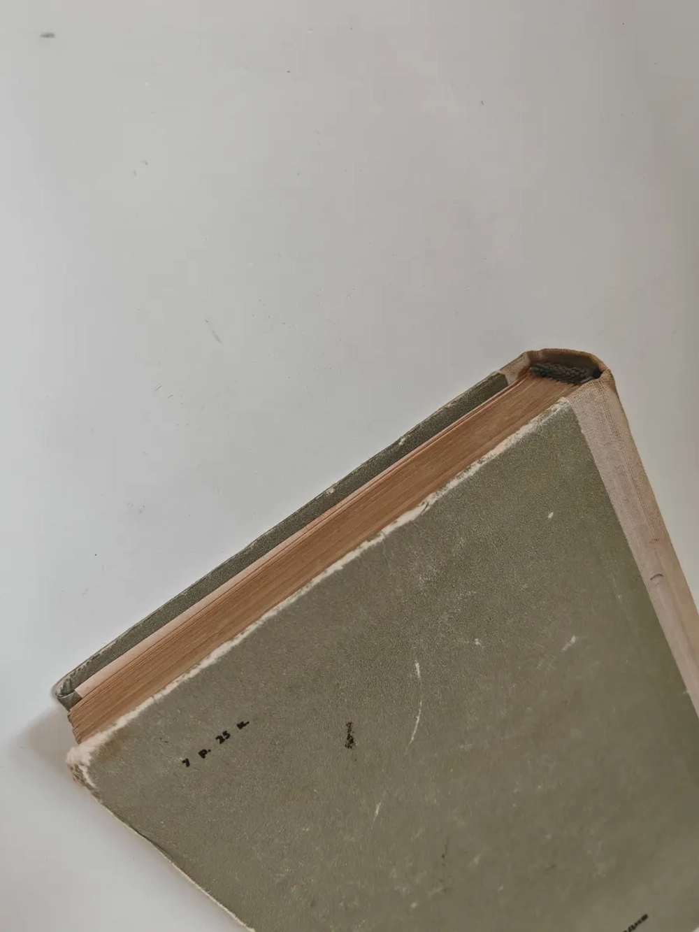 Эварист Галуа. Избранник богов (ЖЗЛ)