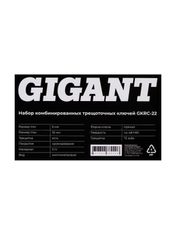 Набор комбинированных трещоточных ключей Gigant в пластиковом кейсе 22 шт GKRC-22