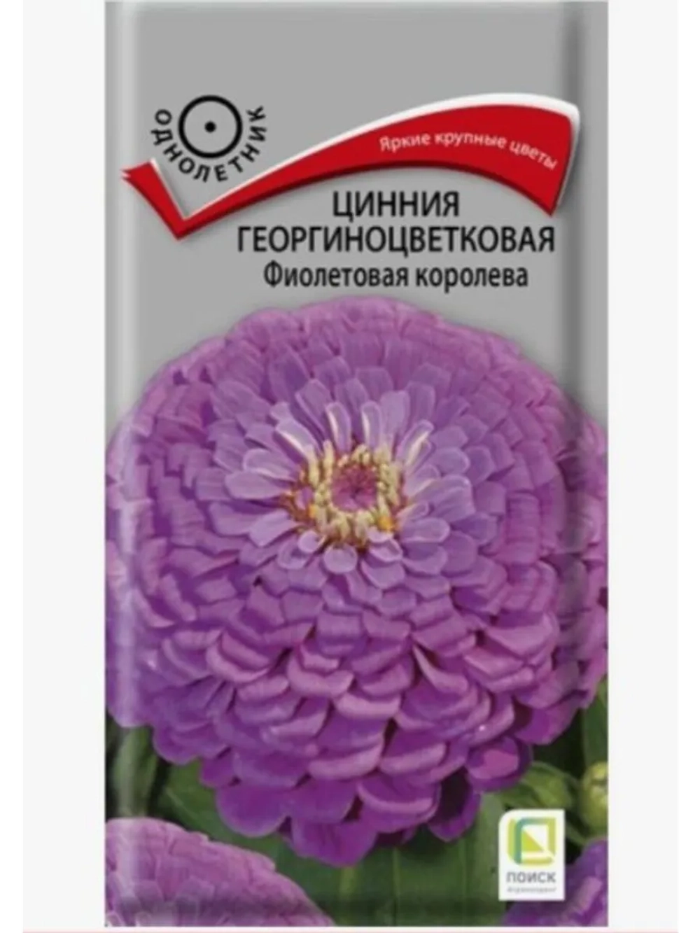 Цинния георгиноцветковая Фиолетовая королева 0,4гр.