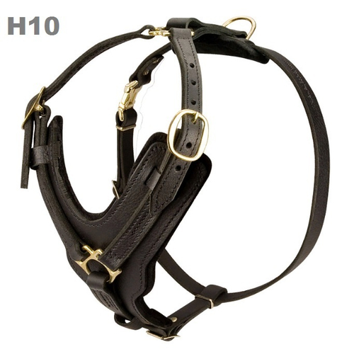 Шлейка усиленная для крупных пород собак"POWER" цвет чёрный М Н10