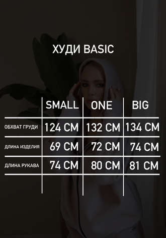 ХУДИ BASIC